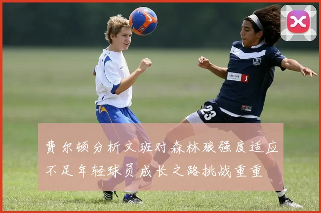 费尔顿分析文班对森林狼强度适应不足年轻球员成长之路挑战重重